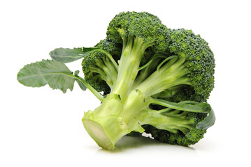 Broccoli vegetable on white background