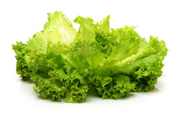 Fresh lettuce on white background