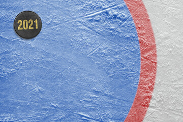 Fragment of the hockey goalie with the puck