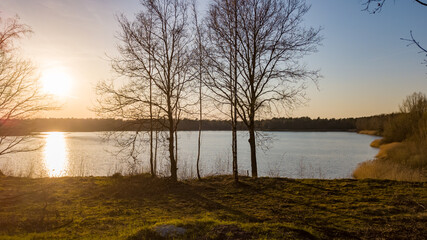 Beautiful sunrise or sunset view of nature landscape on sunny spring day. Green tall trees on lake coast line. Beautiful nature backgrounds. High quality photo