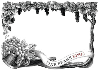 Vine frame hand draw vintage engraving style black and white clip art isolated on white background - 441534744