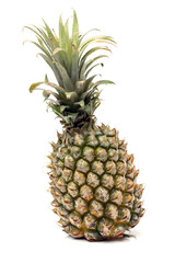 Fototapeta premium pineapple isolated on white background