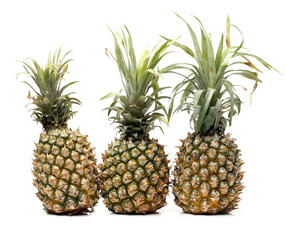 Fototapeta premium pineapple on white background