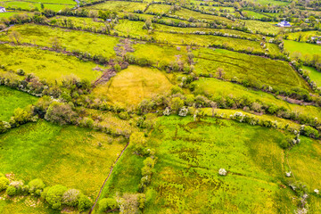 Aerial view of fields next to Glencar Lough in Ireland
