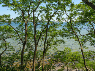 Die Halbinsel Holnis in der Ostsee