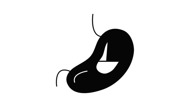 Spleen icon animation simple best object on white