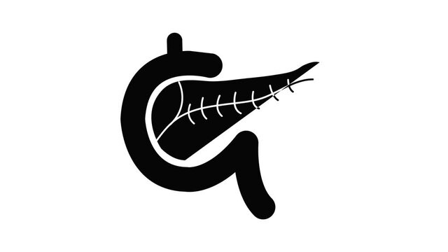 Pancreas icon animation simple best object on white