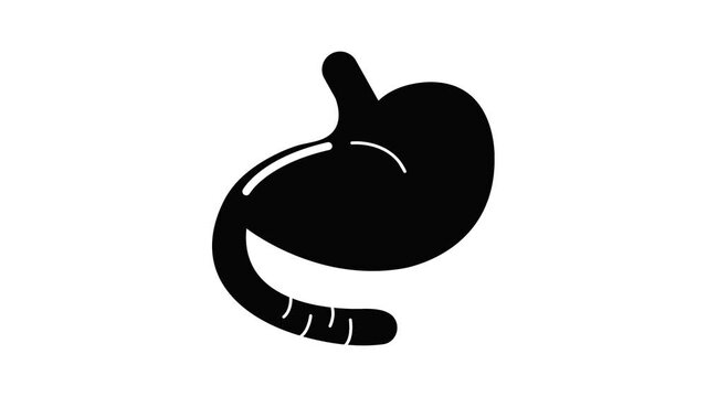 Stomach icon animation simple best object on white