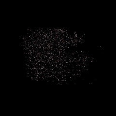 Rose pink stars Sprocket shiny confetti little