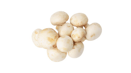 bunch of champignons isolated on white background