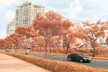 Time: June 25, 2021. Location:Viet Nam. Infrared landscape photo: landscapes in the central area of Ho Chi Minh City.