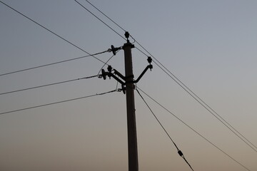 Power pole and wire and birds