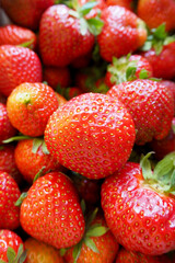 a lot of red ripe strawberries. view from above