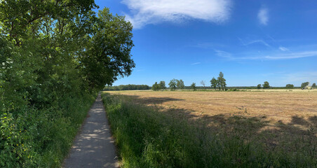 Panorama from a path around Hemrik in Friesland