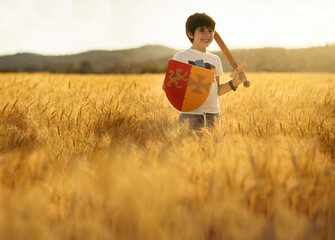 Child in wheat field at sunset plays with wooden sword and shield
Conceptual of lifestyle, childhood