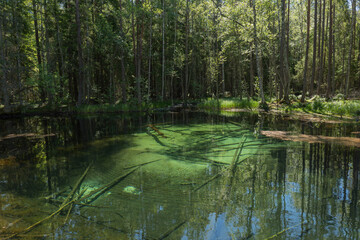 Beautiful turquoise natural spring water in Ingbo national park in north of Sweden.