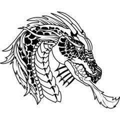 The dragon breathes fire on its enemies