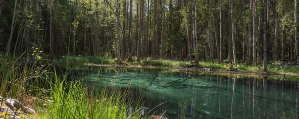 Beautiful turquoise natural spring water in Ingbo national park in north of Sweden.