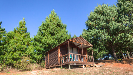 Fototapeta na wymiar Mountains Forests Holiday Vacation Hiking Wood Cabins between trees with blue sky.