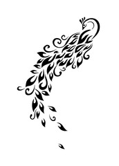 Peacock graphic symbol. Vector illustration