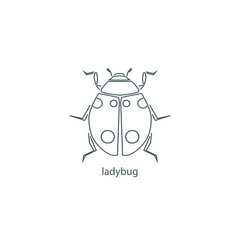 Ladybug thin flat design on the white background