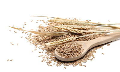 Spelt grains pile with ripe yellow wheat ears and wooden spoon isolated on white background