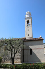 Obraz premium olive tree and the church tower of the town called Lazise on the shores of Lake Garda in the Veneto region in northern Italy