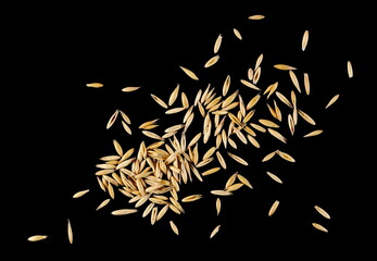 Unpeeled oat grains, groats pile isolated on black background, top view