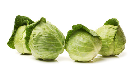 Fototapeta premium cabbage isolated on white background