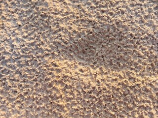 Baltic Sea sand after rain