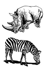 Graphical rhino and zebra,African animals isolated
