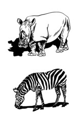 Graphical rhino and zebra,African animals isolated
