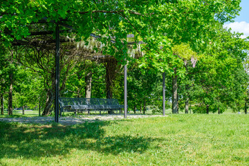 Fototapeta na wymiar Magdeburg Park Stadtpark 