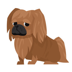 Sitting Pekingese side view. Cute pet in cartoon style.
