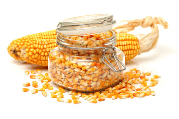 grain corn closeup on a white background