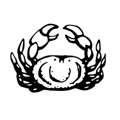 Crab. Vector, black line, isolated