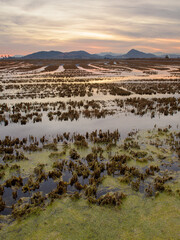 Bello atardecer en los humedales cercanos a la población de La Llosa, en la provincia de Castellón. Comunidad Valenciana. España. Europa