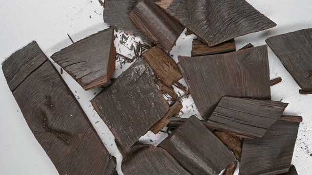 top pan herb ZongLuTan or Trachycarpi Petiolus Carbonisata or Carbonized Fortune Windmillpalm Petiole