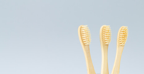 Banner of eco bamboo biodegradable toothbrushes set
