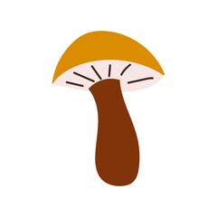 Brown cap boletus flat illustration. Mushroom icon. Vector. Vector illustration