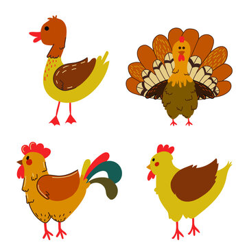 Farm birds set . Cute cartoon domestic bird character - turkey, duck, goose, gosling, hen, rooster. Vector flat design. 