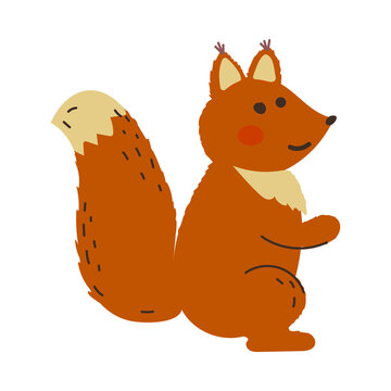 Cute squirrel Cartoon character, funny woodland animal Hand drawn vector illustration isolated on white. Flat design