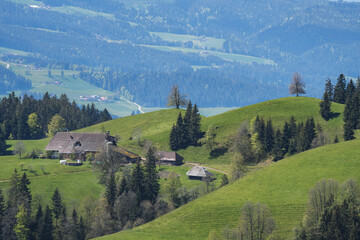 classical Emmental farm hous in the hills on a spring day