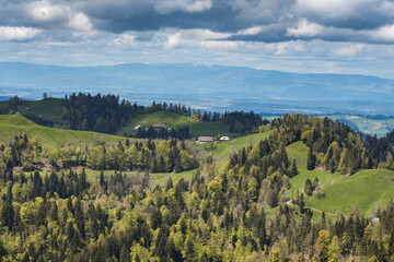 Fototapeta na wymiar classical Emmental landscape with farm houses in the hills on a spring day