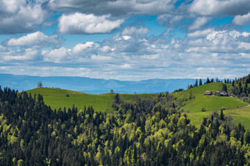 hills of Emmental with trees on a cloudy spring day
