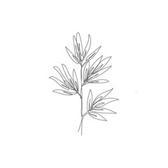 Bamboo leaves  branch in continuous line drawing. Modern minimalist art. Vector illustration.
