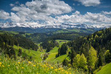 Naklejka na ściany i meble view over Trub with hills and forests of Emmental towards the bernese alps