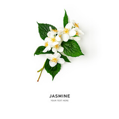 White jasmine flowers with stem and leaves.