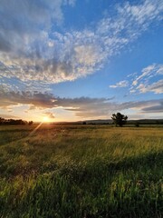 Fototapeta premium sunset in the field