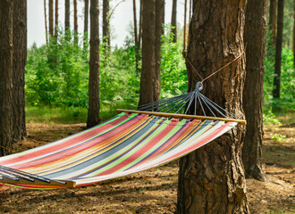 colorful Hammock hanging in woods. Summer peaceful recreation place. Countryside camping